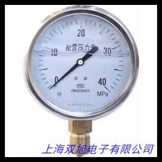 全不銹鋼壓力表 全不銹鋼耐震